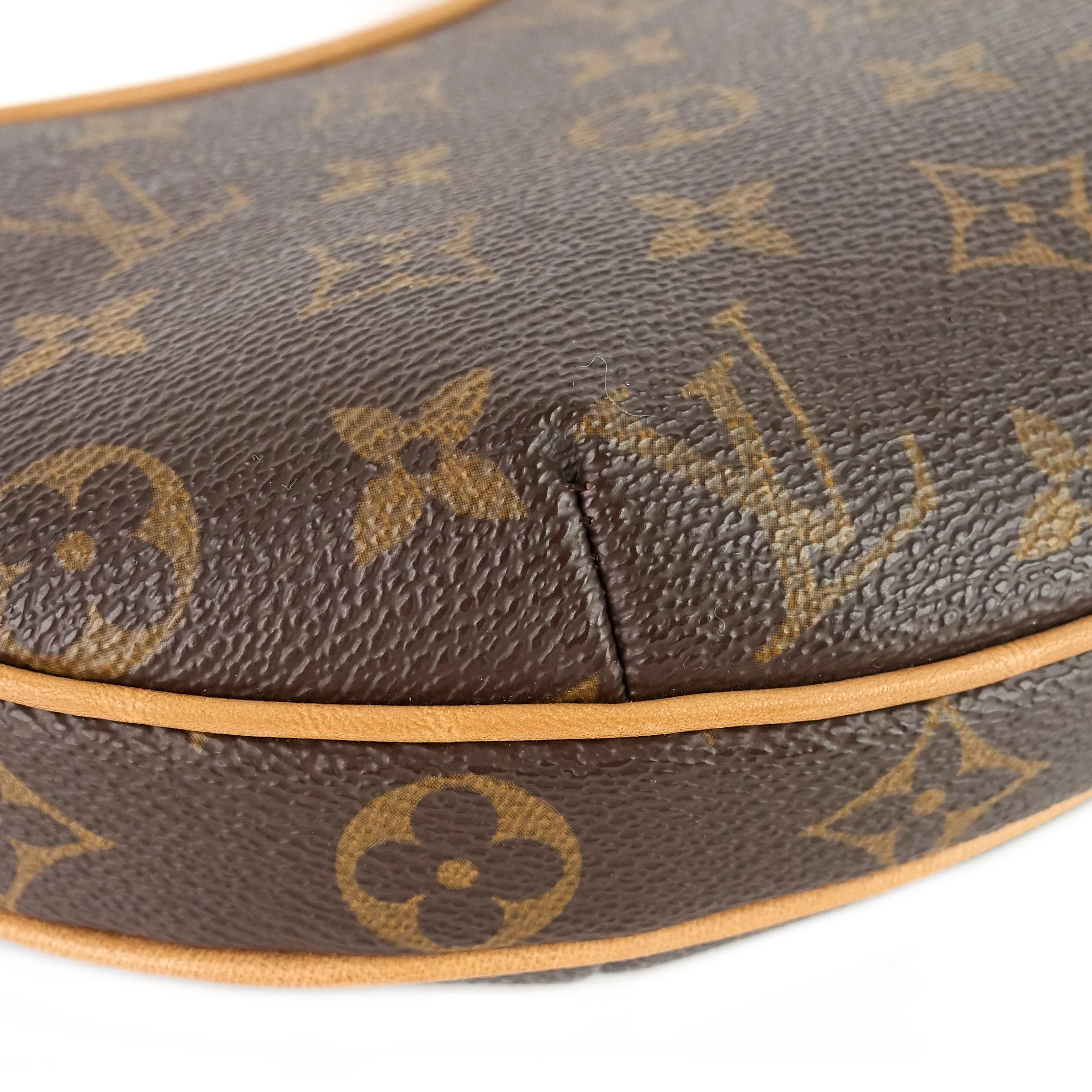 Croissant PM Monogram Canvas Bag