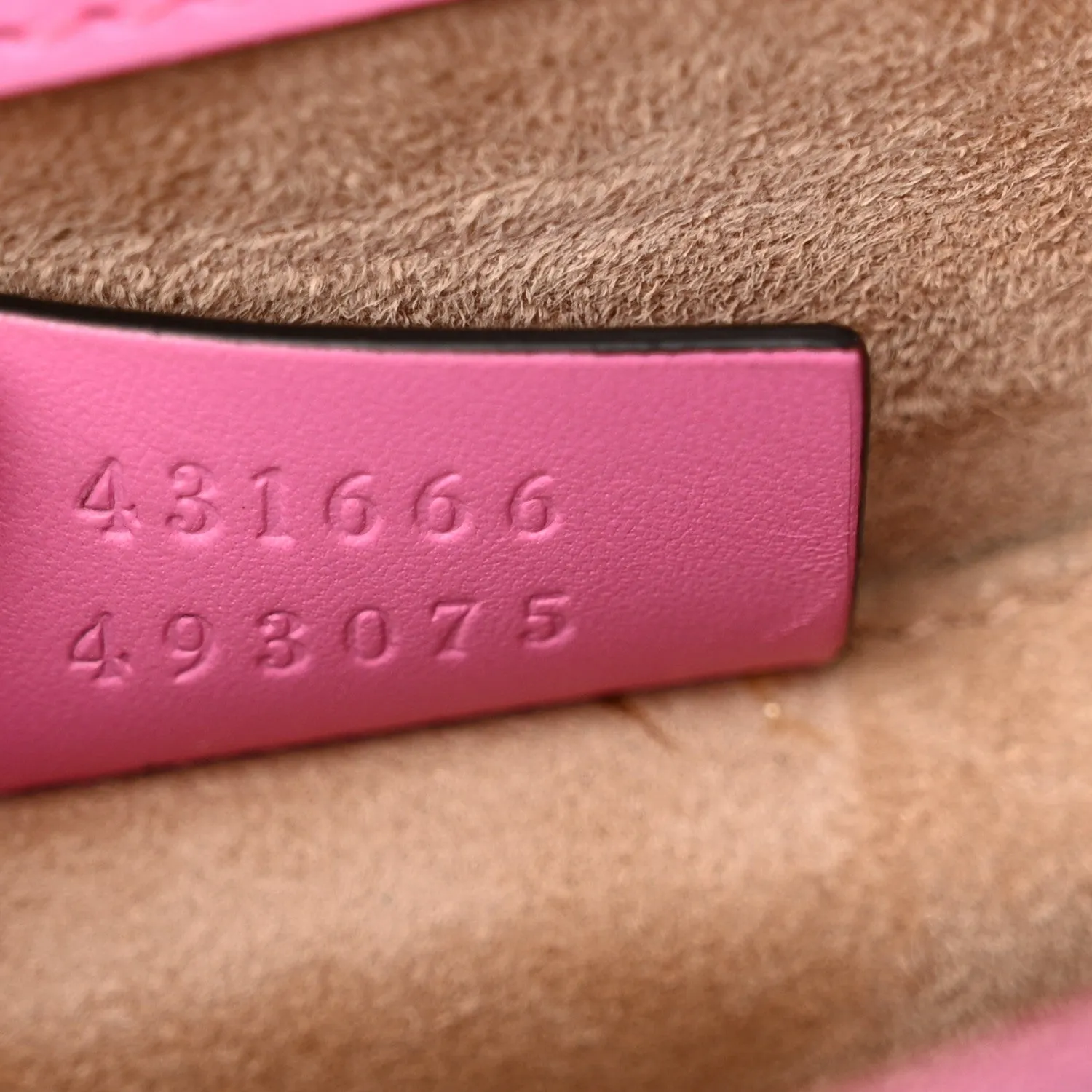 Gucci Vitello Fontanella Web Mini Sylvie