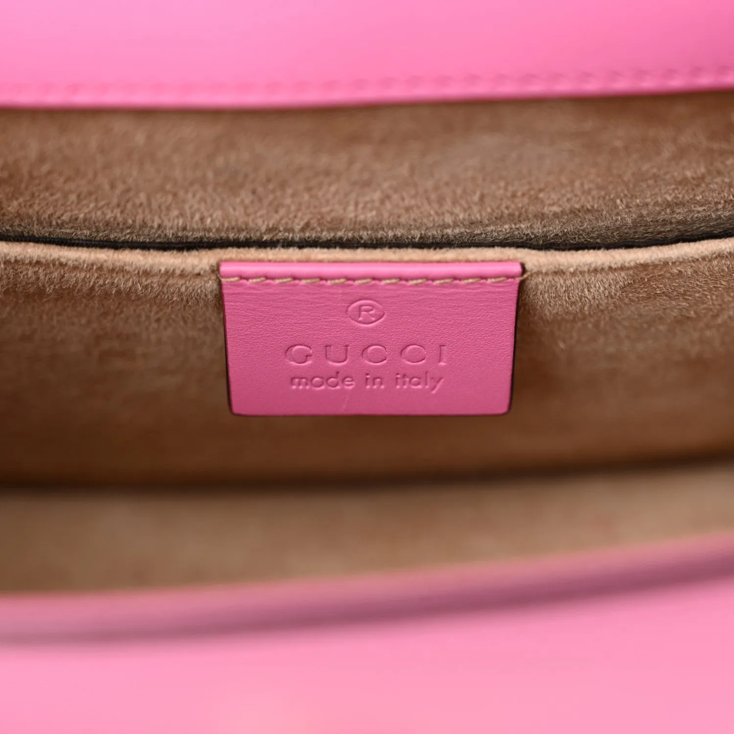 Gucci Vitello Fontanella Web Mini Sylvie