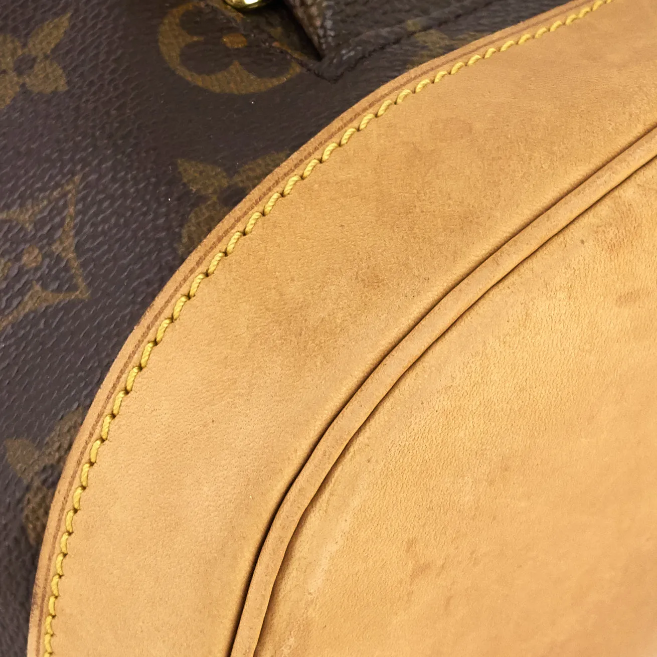 Montsouris MM Monogram Canvas Backpack Bag