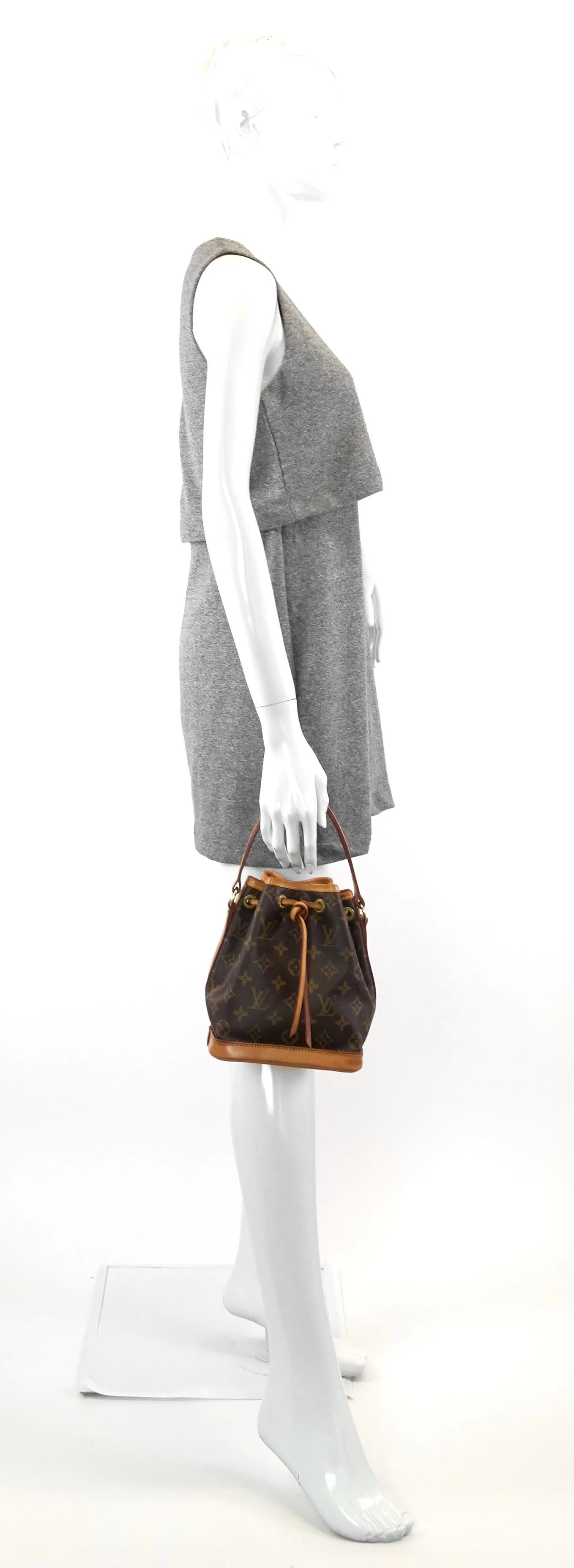 Noe Mini Monogram Canvas Bag
