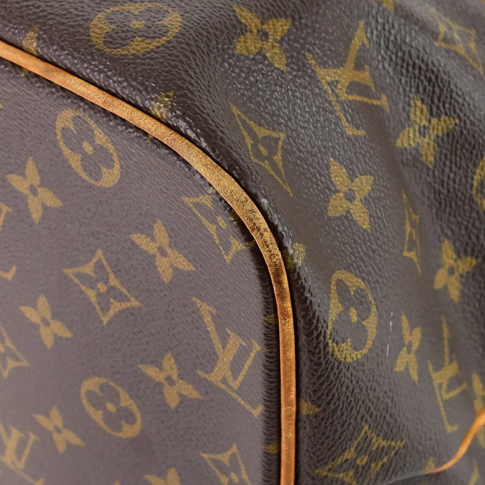 Palermo GM Monogram Canvas Bag
