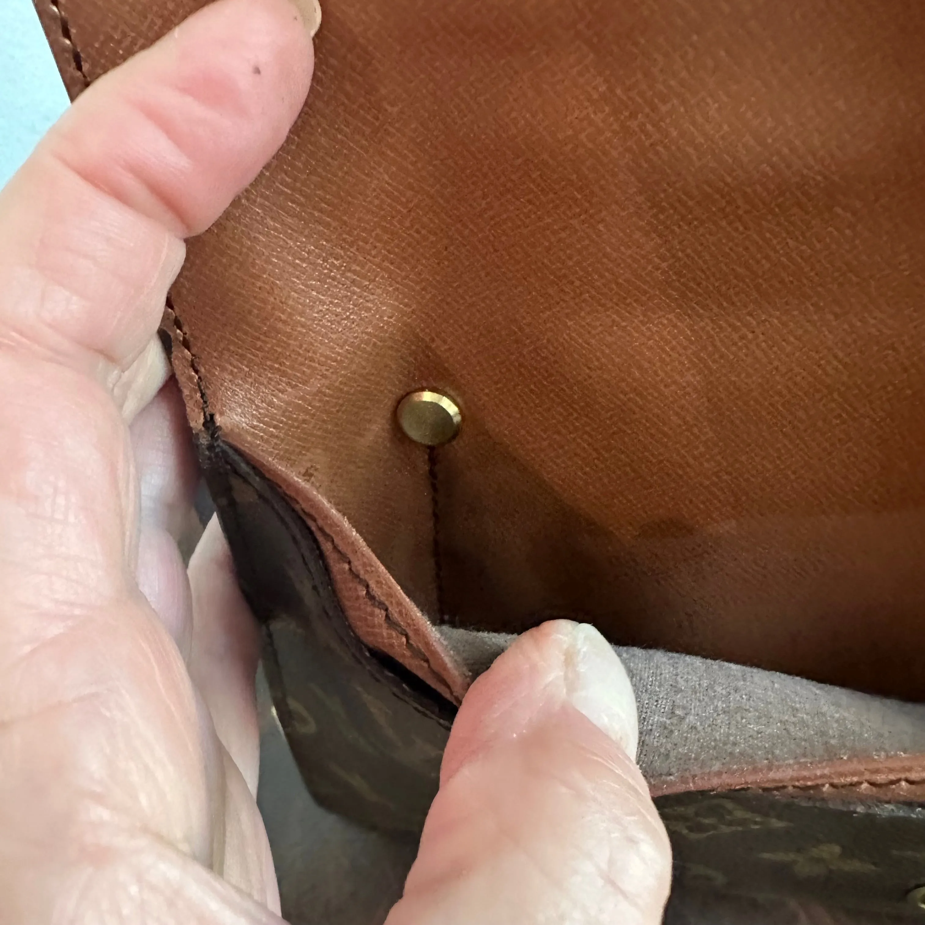 The Pelican Crossbody/Handbag in LV Monogram